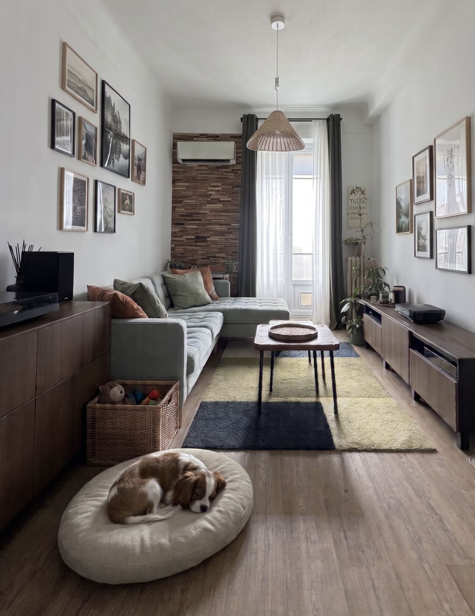 pension garderie pet sitting chien et chat Nice Libération